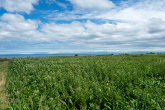 Cape Notoro-misaki, 能取岬