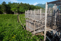 Shari, Shiretoko Goko National Park, Shiretoko Peninsula, 斜里, 知床五湖, 知床半島