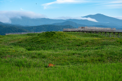 Shari, Shiretoko Goko National Park, Shiretoko Peninsula, 斜里, 知床五湖, 知床半島