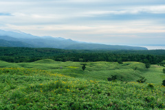 Shari, Shiretoko Goko National Park, Shiretoko Peninsula, 斜里, 知床五湖, 知床半島