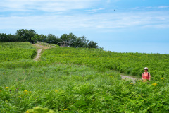 Shari, Shiretoko Peninsula, 斜里, 知床半島