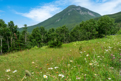 Shari, Shiretoko Pass, Shiretoko Peninsula, 斜里, 知床半島, 知床峠