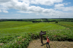 Betsukai, Shinroku Village Observatory, 別海町, 新酪農村展望台