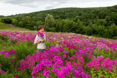 Abashiri, Abashiri Phlox Park, 網走
