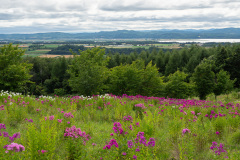 Abashiri, Abashiri Phlox Park, 網走