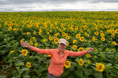 Abashiri, Ozora, Sunflower Field, Ōzora, 大空町, 網走