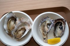 Akkeshi, Michi no Eki Akkeshi Gourmet Park (Akkeshi Gourmet Terminal CONCHIGLIE), Oyster Cafe, オイスターカフェ, 厚岸