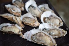 Kushiro, Senposhi oysters direct sales Kikuchi Fisheries Department, 仙鳳趾かき直売 菊地漁業部, 釧路