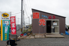 Kushiro, Senposhi oysters direct sales Kikuchi Fisheries Department, 仙鳳趾かき直売 菊地漁業部, 釧路