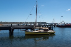 D049687