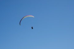 D049770