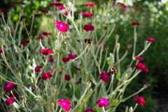 D049804