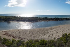 D222098-Pano
