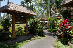 Bebek Bengil Ubud, Ubud