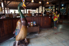 Bebek Bengil Ubud, Ubud
