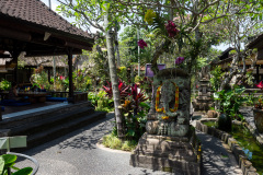 Bebek Bengil Ubud, Ubud