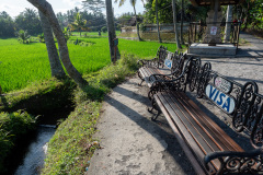 Kajeng Rice Field, Ubud