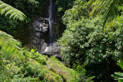 The Royal Pita Maha, Ubud