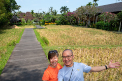 Pison, Ubud