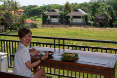 Paon Adua Ubud, Ubud