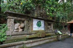 Monkey Forest, Ubud