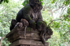 Monkey Forest, Ubud