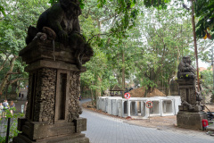 Monkey Forest, Ubud