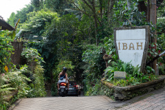 Campuhan Ridge Walk, Ubud