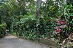 Campuhan Ridge Walk, Ubud