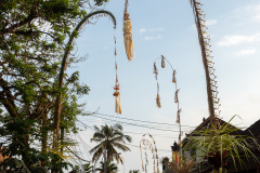 Campuhan Ridge Walk, Ubud