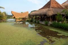 Campuhan Ridge Walk, Ubud