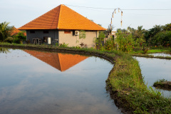 Campuhan Ridge Walk, Ubud