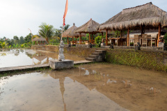 Campuhan Ridge Walk, Ubud