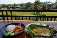 Paon Adua Ubud, Ubud