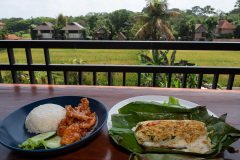 Paon Adua Ubud, Ubud