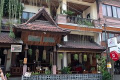 Paon Adua Ubud, Ubud