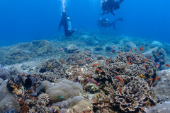 P8240097