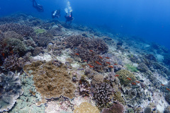 P8240135
