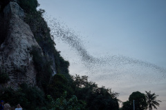 Bat Cave Phnom Sampov