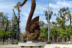 Peace Dragon Garden
