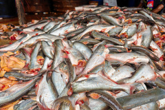 Aek Phnum, Khmer Prahok Market