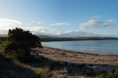 D263465-Pano