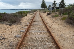 D273498