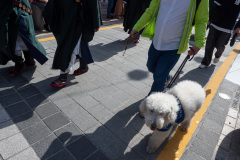 Gwangbok-ro Fashion Street, Jung-gu