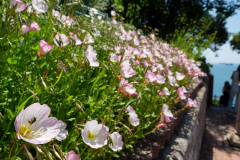 Huinnyeoul Culture Village, Yeongdo-gu