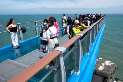 Nam-gu, Oryukdo Skywalk
