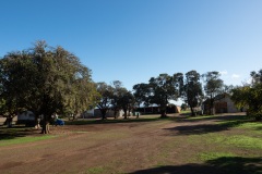 D262452