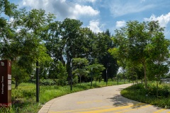 D113756-Pano