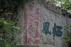 B045203
