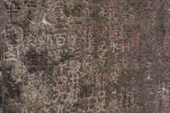 D034685